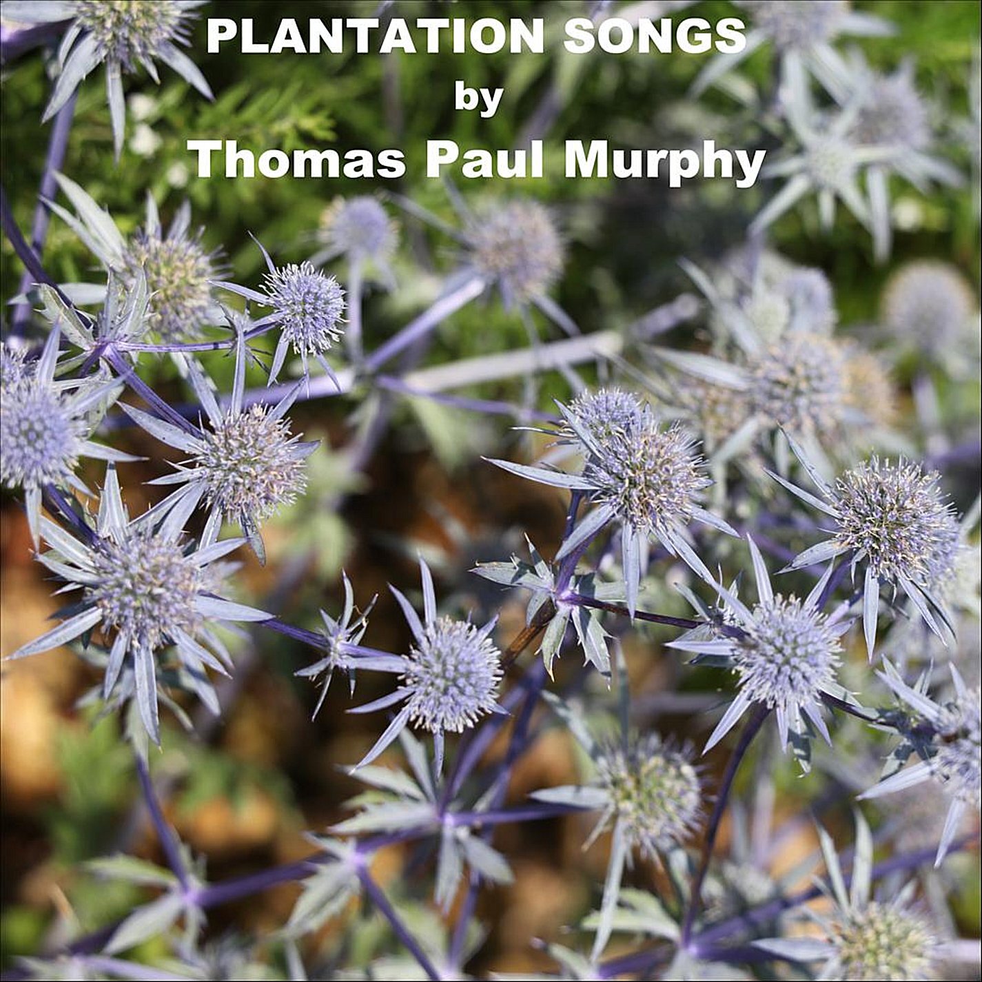 Thomas Paul Murphy Plantation Songs (CD)