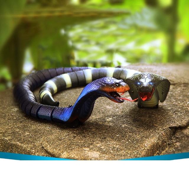 remote control snake argos