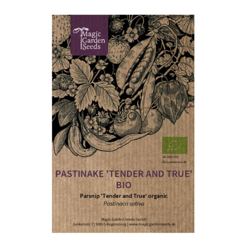 Pastinake 'Tender and True' (Pastinaca sativa) Bio - ca. 300 Samen - Bild 1 von 7