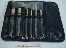 Mary Kay Essential 6 brush set w/case clear handles  Pink Retractable Lip Eye