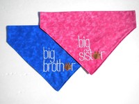 Big Brother Or Big Sister Embroidered Slide On Dog Bandana Big Brother Or Big Sister Embroidered Slide On Dog Bandana