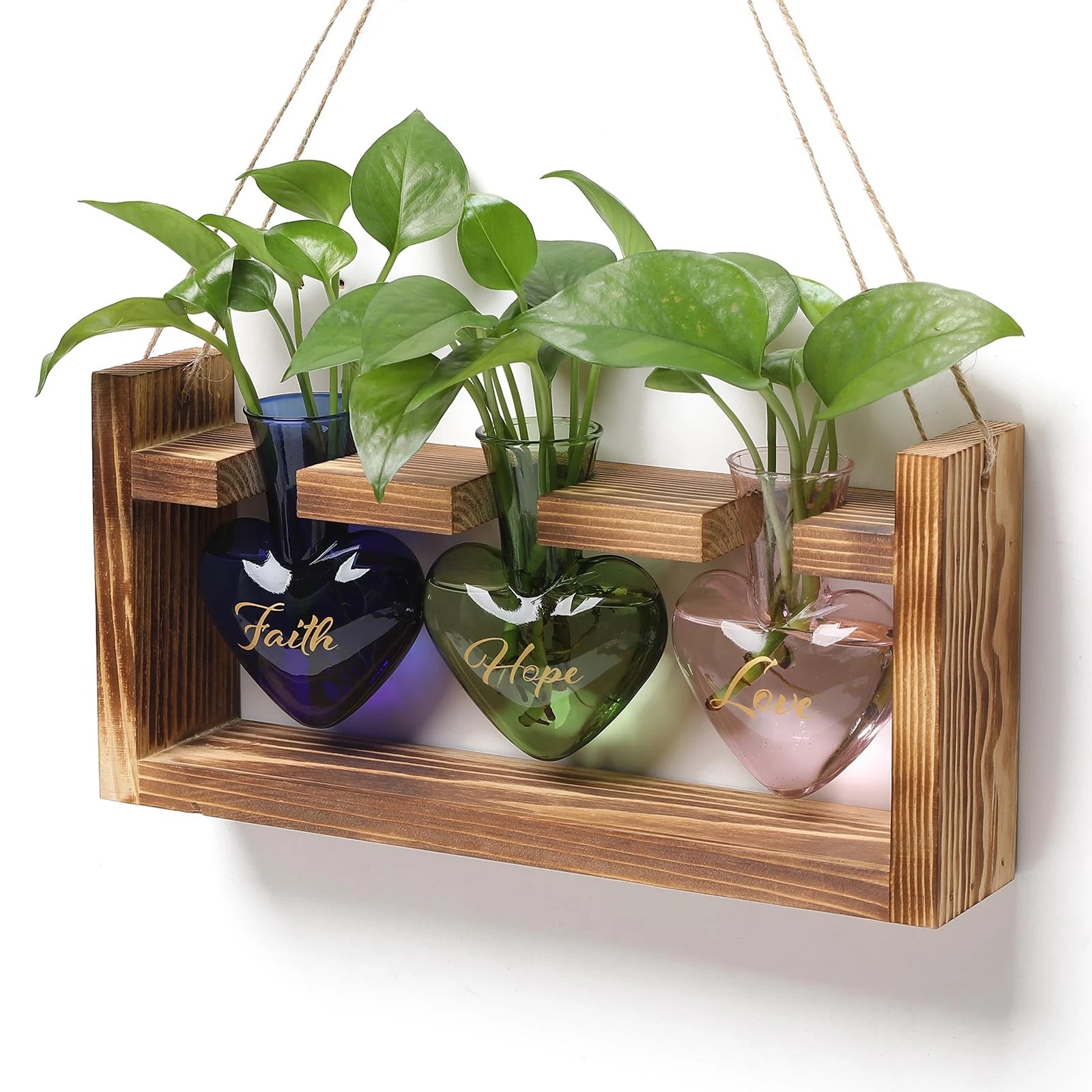 HeartShaped Glass Propagation Station for Hydroponics Home Garden Decor