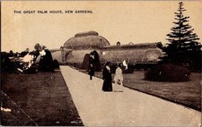 London England postcard THE GREAT PALM HOUSE KEW GARDENS j/13 AW4438