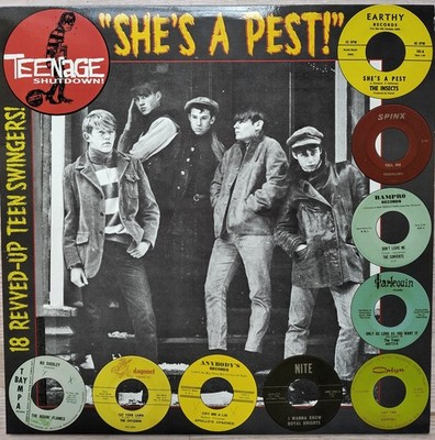She's A Pest! 18 Revved-Up Teen Swingers! LP (Crypt)