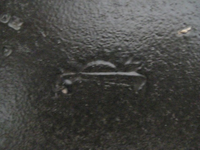 Picture 11 of 13