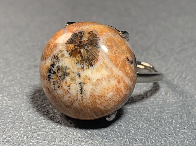 Natural Silicified Coral Fossil Flower Agate Ring/ Adjustable