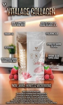 V-COLLAGEN by Vitalhealth - SKIN, JOINT, BONES & MICROBIOME +