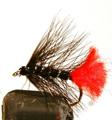 Fly Fishing PRIME COLLECTION BLACK ZULU Wet Fly pack Size 8 pack of 12