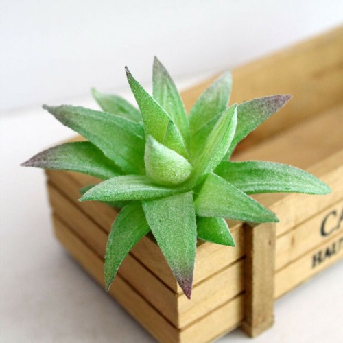 5 Pack- Artificial Succulent Plants Unpotted Mini Fake Succulents Plant Decor - Picture 17 of 48
