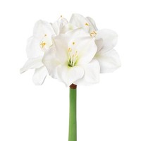 Artplants Kunstblume Amaryllis Mikun, Weiß, 55Cm