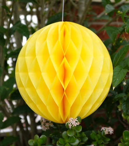 Tissue Paper Honeycomb Lantern Ball Pom Poms Wedding Party Baby Living Deco Home - Picture 24 of 25