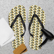 Flip-Flops