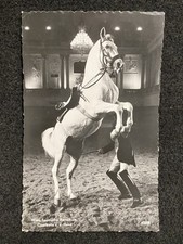 Vienna Austria RPPC Horse Riding School Wien Antique Real Photo Postcard