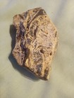 Picture 10 of 13