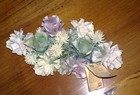 Foto 12 di 13