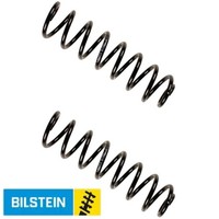 2X Fahrwerksfeder Bilstein 36-199914 2 Federn Satz Federnsatz FüR Renault