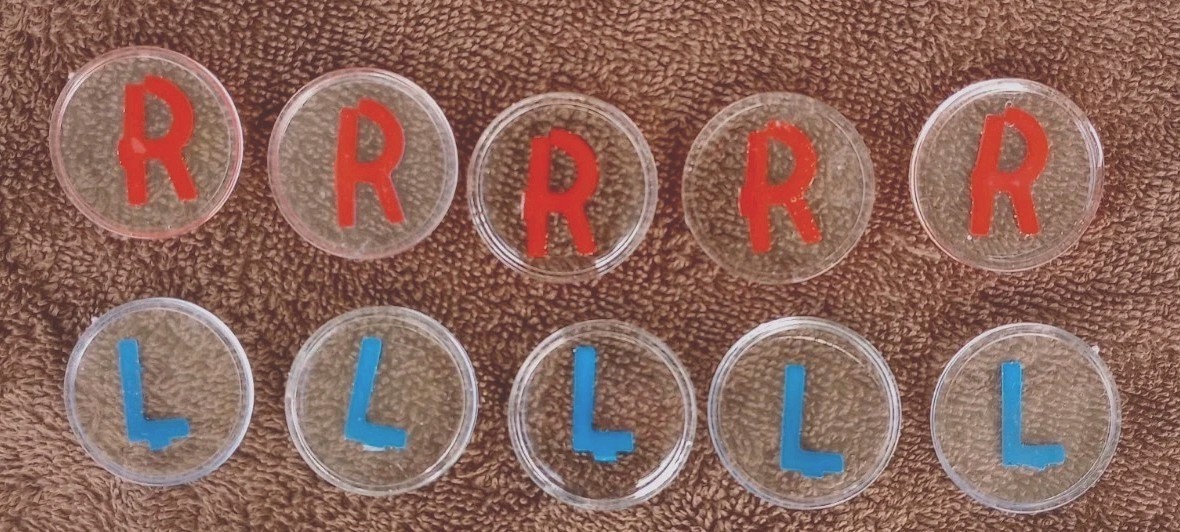 Five Sets World Famous Style! For Rt(r) Professionals