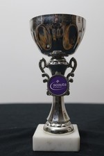 Scouts ( be prepared) Trophy