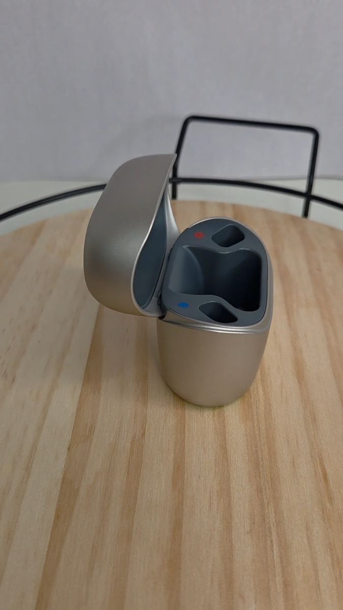 Phonak Charger Case Ease For Audeo L-R and Audeo L-RT Hearing Aids
