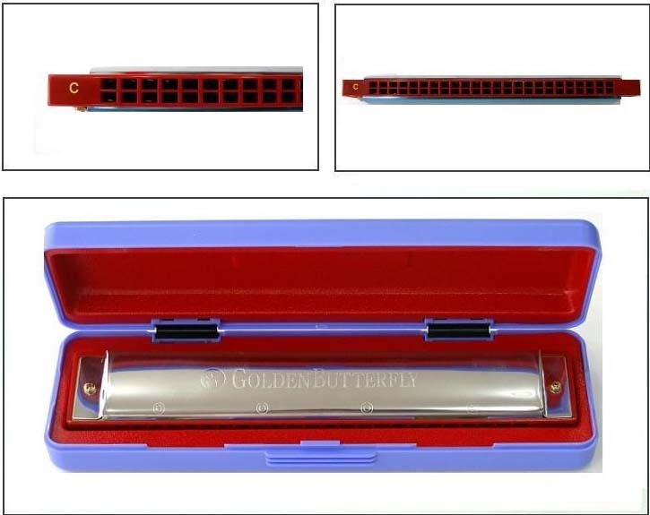 Mihwa Harmonica Golden Butterfly Tremolo 24 Holes Key of C eBay