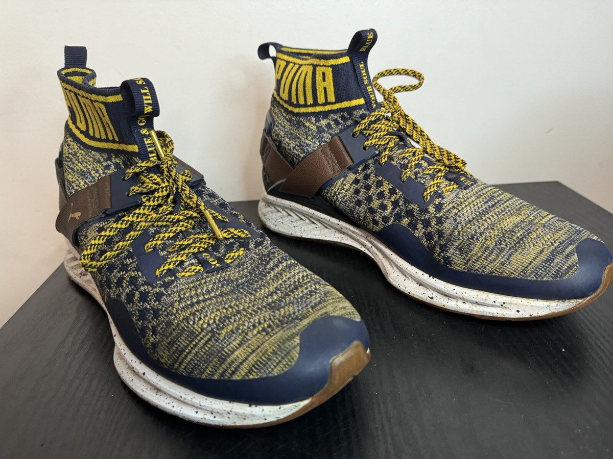 Puma 190253-01 Men's Ignite Evoknit BHM SZ. 11, A1 | eBay