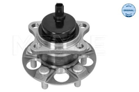 2X Meyle Radnabe Radlager Passend FüR Toyota Prius W3