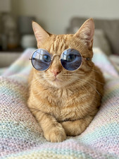 Retro Round Cat Sunglasses - Pet Costume Glasses for Cats Small Dogs