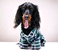 Fab Dog Flannel Dog Pajamas, Green Plaid, Cotton, Size 16 or 20, FREE SHIPPING