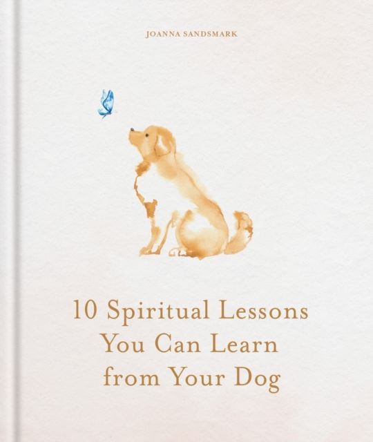 10 Spiritual Lessons You Can Learn from Your Dog: Essential Life Lessons We Can Learn From Our Furry Friend - Image 9