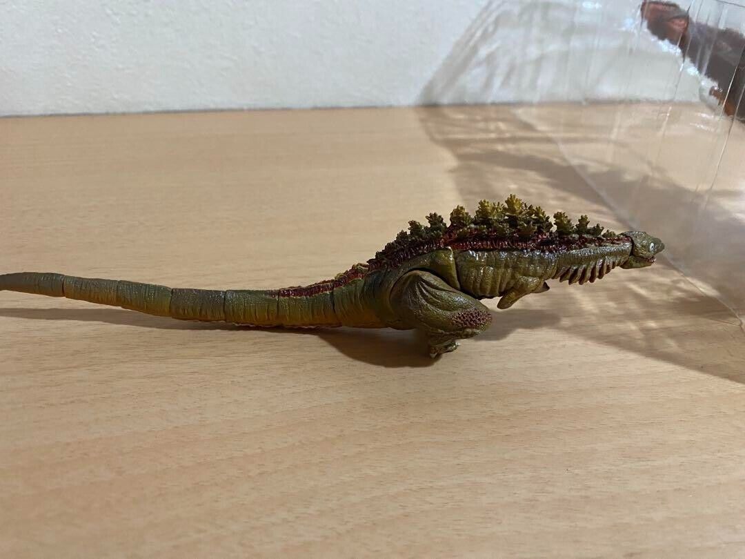Picture 10 of 10