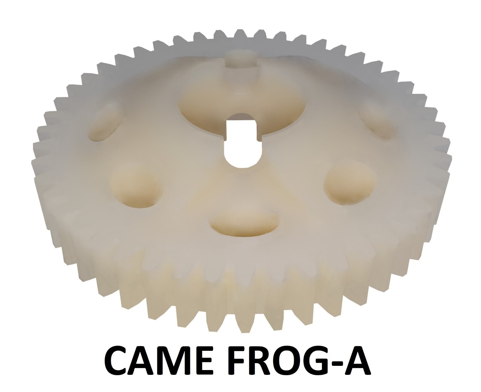 Ingranaggio Nylon Economico per CAME FROG-A | Ripara il Cancello Ora