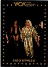 Ric Flair Golden Nature Boy WCW 1991 Championship Marketing Card #68