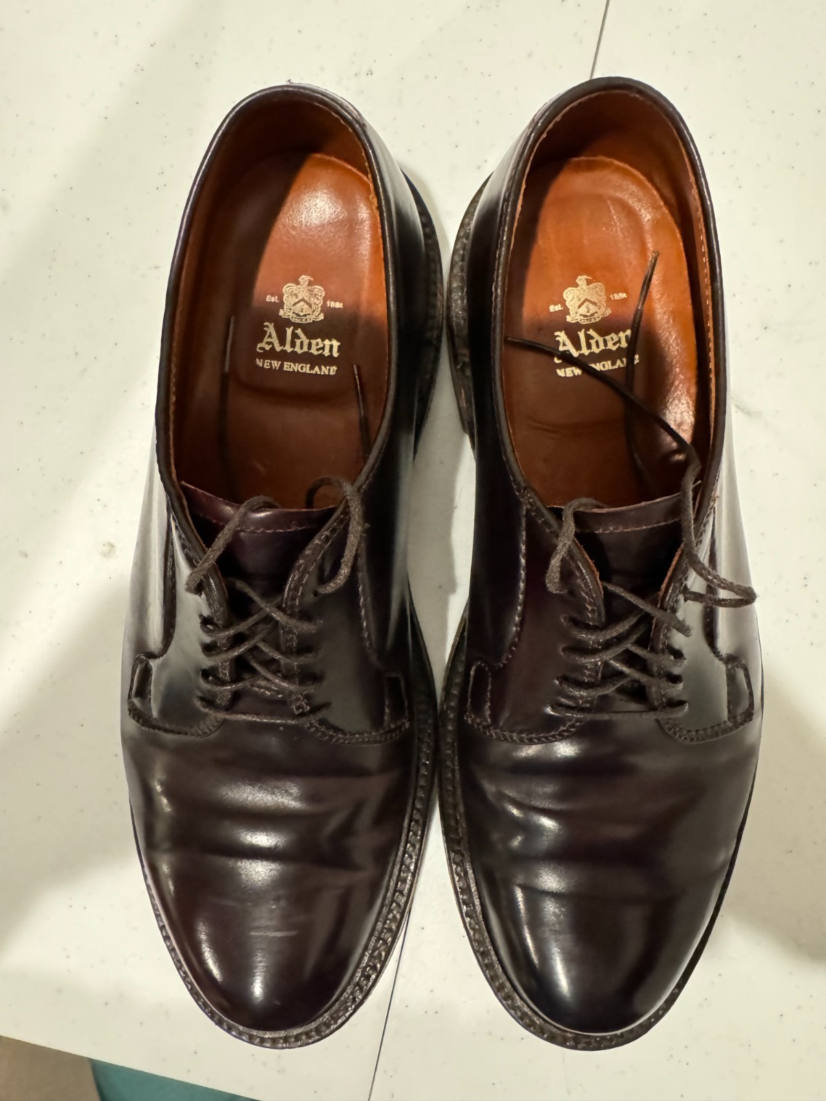 Alden 990 Color 8 Shell Cordovan Plain Toe Blucher | Alden Model