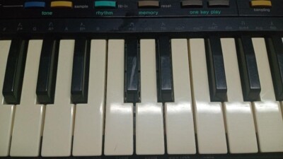 CASIO SK-1 サンプリングキーボード ACアダプター付き CASIO カシオ SK-1 サンプリング・キーボード｜ACアダプター付