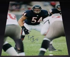 Brian Urlacher Signed 16x20 Photo Chicago Bears Autograph #'d 22/54 ZJ19224