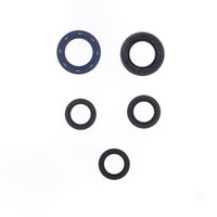 Serie Parolio Motor Malaguti Klappe 125/150 11 FüR Kymco Agility Plus 125 2016