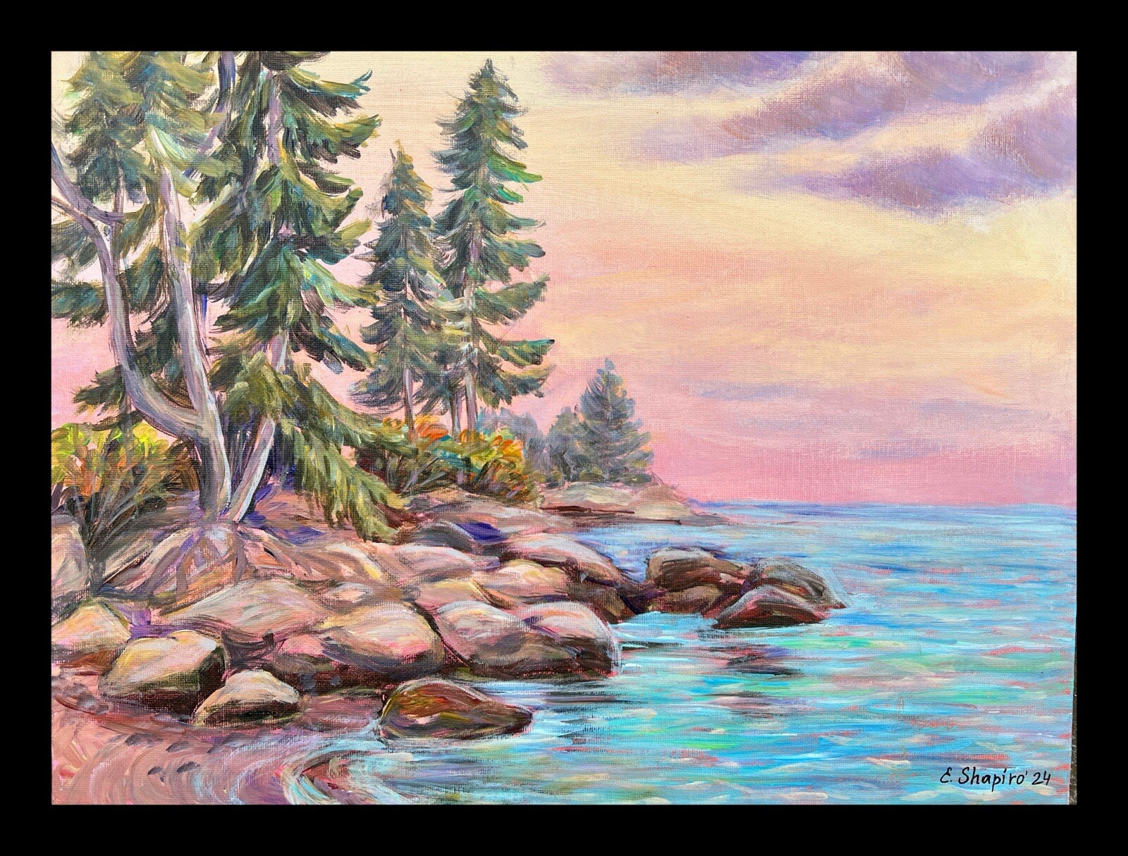 Picture 8 of 12