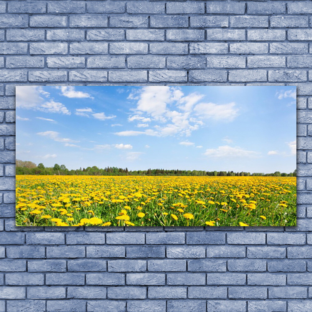 Tableau impression image sur Plexiglas 140x70 prairie pissenlit