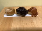Vintage 1963 Barbie Fashion Queen Wig Set w/ Stand – Blonde, Brunette, Redhead
