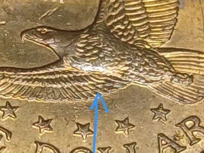 2000p Sacagawea One Dollar /Wounded Eagle Wings