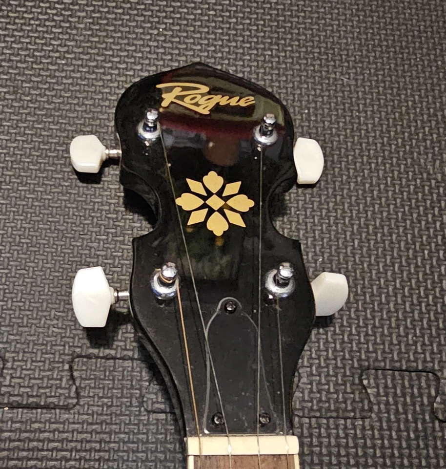 Banjo para diestros Rogue de 5 cuerdas - Remo Weatherking Banjo solo cabeza  Foto 3 de 4