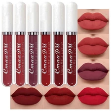evpct 6Pcs Lipstick Matte Liquid Lipstick Lipgloss Set for Women, Dark Deep Brig