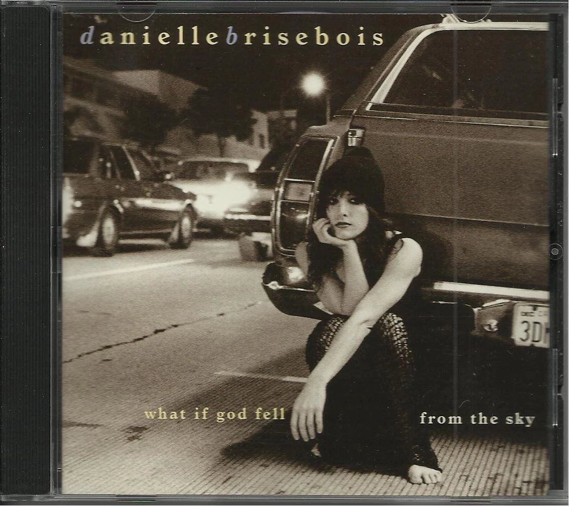 Danielle Brisebois New Radicals