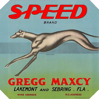 Lakemont Florida Speed Greyhound Dog Orange Citrus Fruit Crate Label Print
