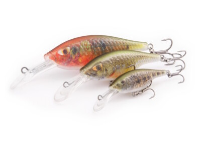 best light fishing pole Best Ultralight Fishing Rods