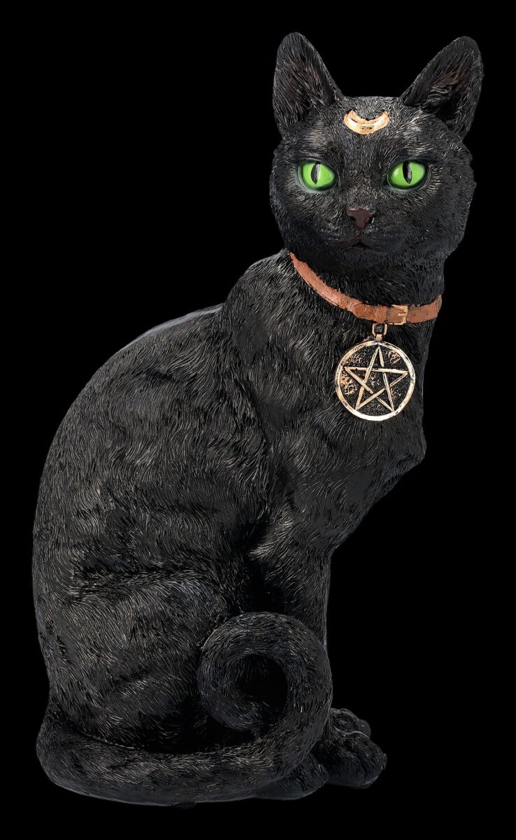 Mystical Cat Figure with Magical Symbols | Fantasy Animal Decorations 30cm