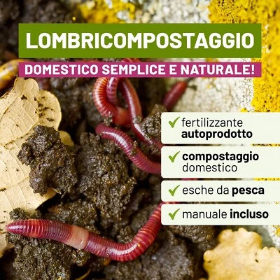 BIOTICA Lombrichi Rossi californiani vivi Eisenia fetida - 400gr - per Compostag