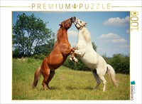 Puzzle Calvendo Des Chevaux Qui S'amusent Dans Le Paddock | 1000 PièCes, Format