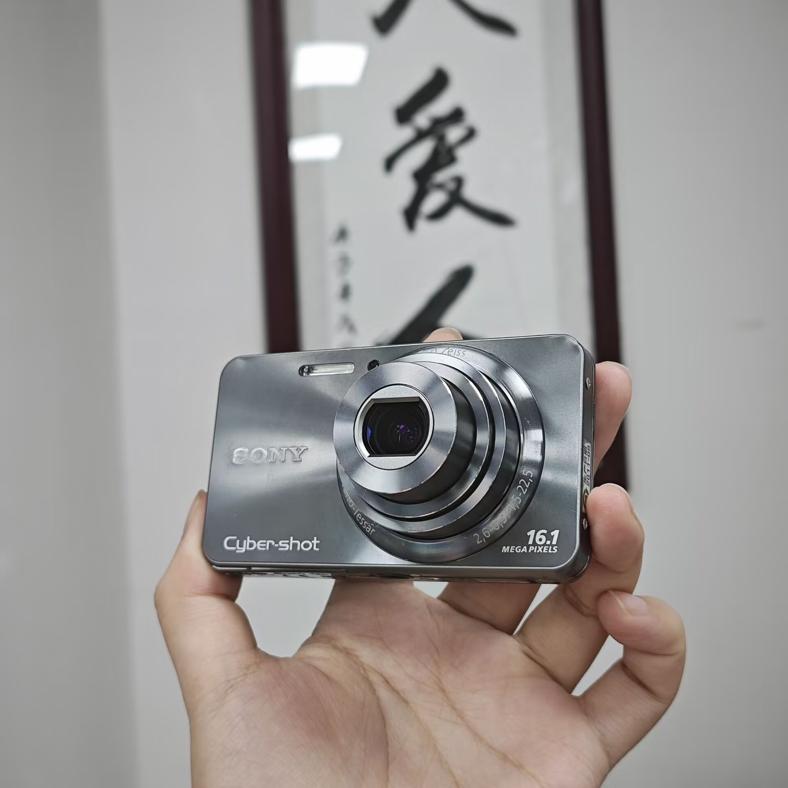 SONY Cyber-shot DSC-W570 Silver Digital Camera 16.1 MP 5x Optical Zoom English