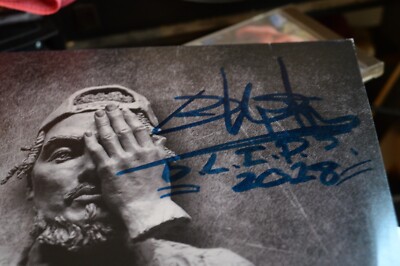 洋楽 LP DUSTY HUSKY - WHY NOT Dusty Husky - Why Not '18 2xLP JAPAN ORG w.autograph vinyl lp ex